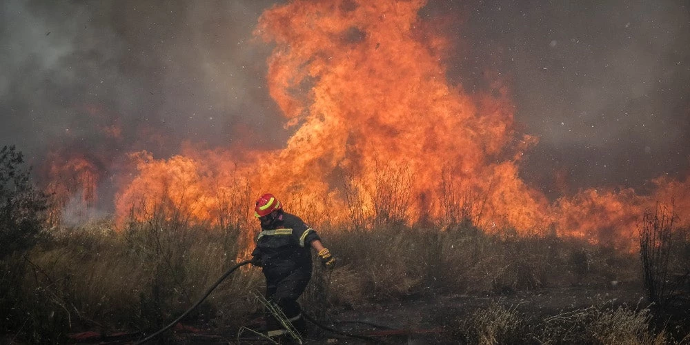 Μεγάλη πυρκαγιά στη Σκοπέλο – Τουλάχιστον τέσσερις εστίες φωτιάς (Εικόνες-Βίντεο)